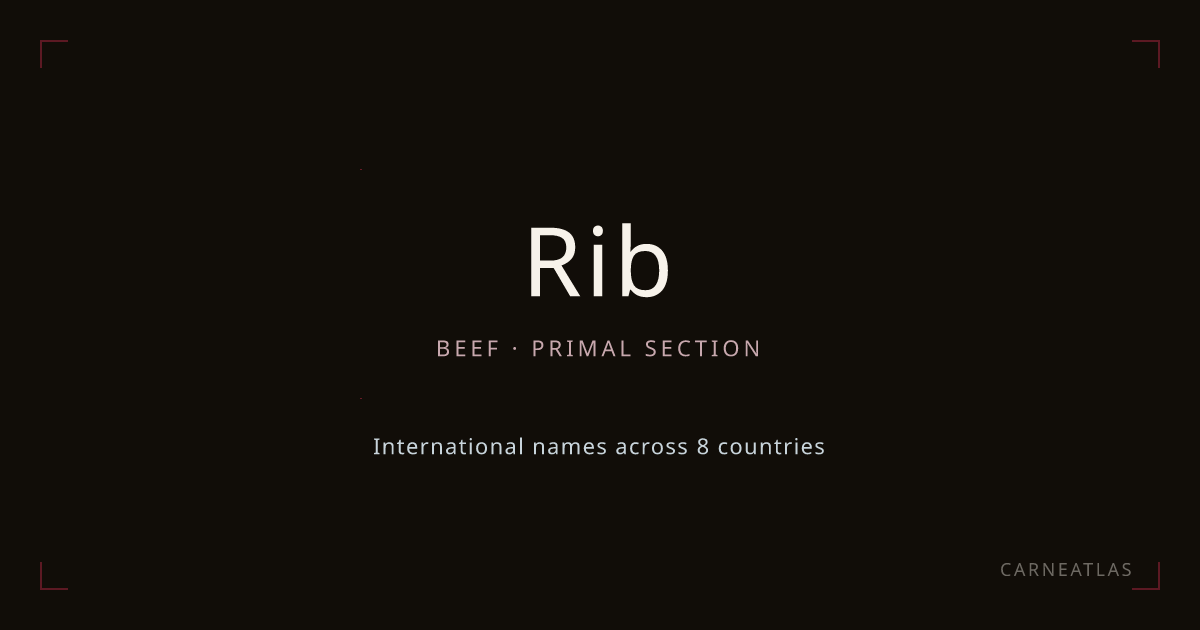 Beef Rib Cuts — All Cuts from the Rib | CarneAtlas